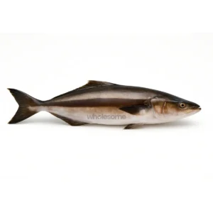 Sangra/Cobia Fish 1Kg
