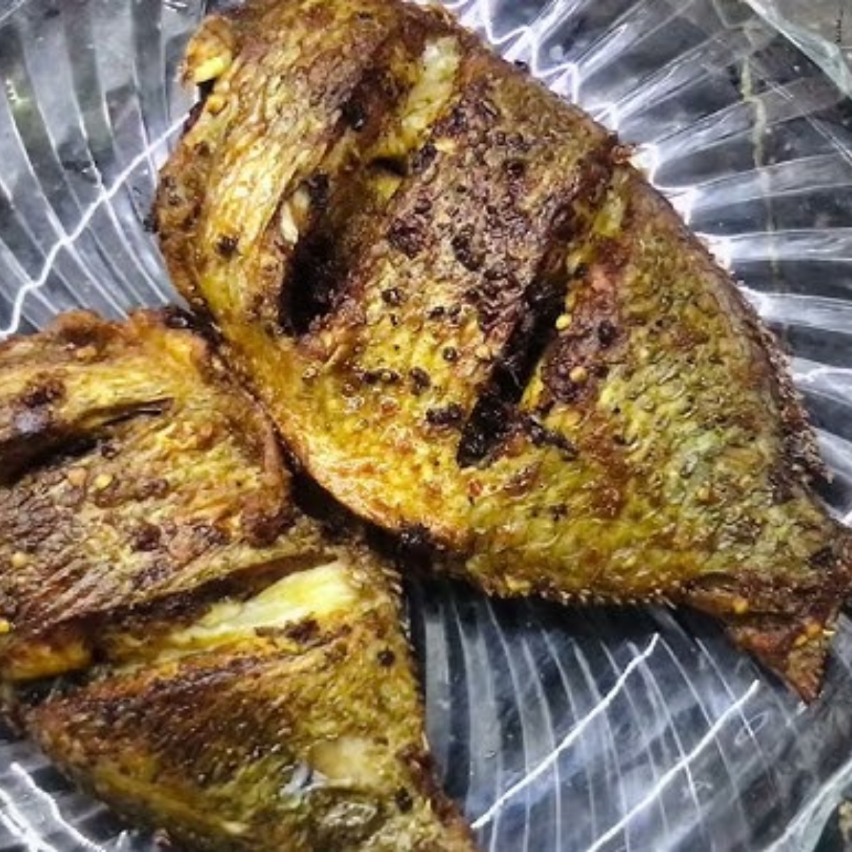 Chira Fish meat - Image 2